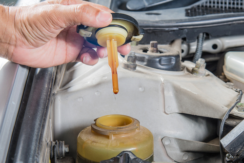How to Check & Fill the Power Steering Fluid: A Step-By-Step Guide