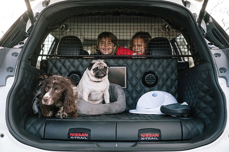 10 Most Dog-Friendly Cars Available In 2021