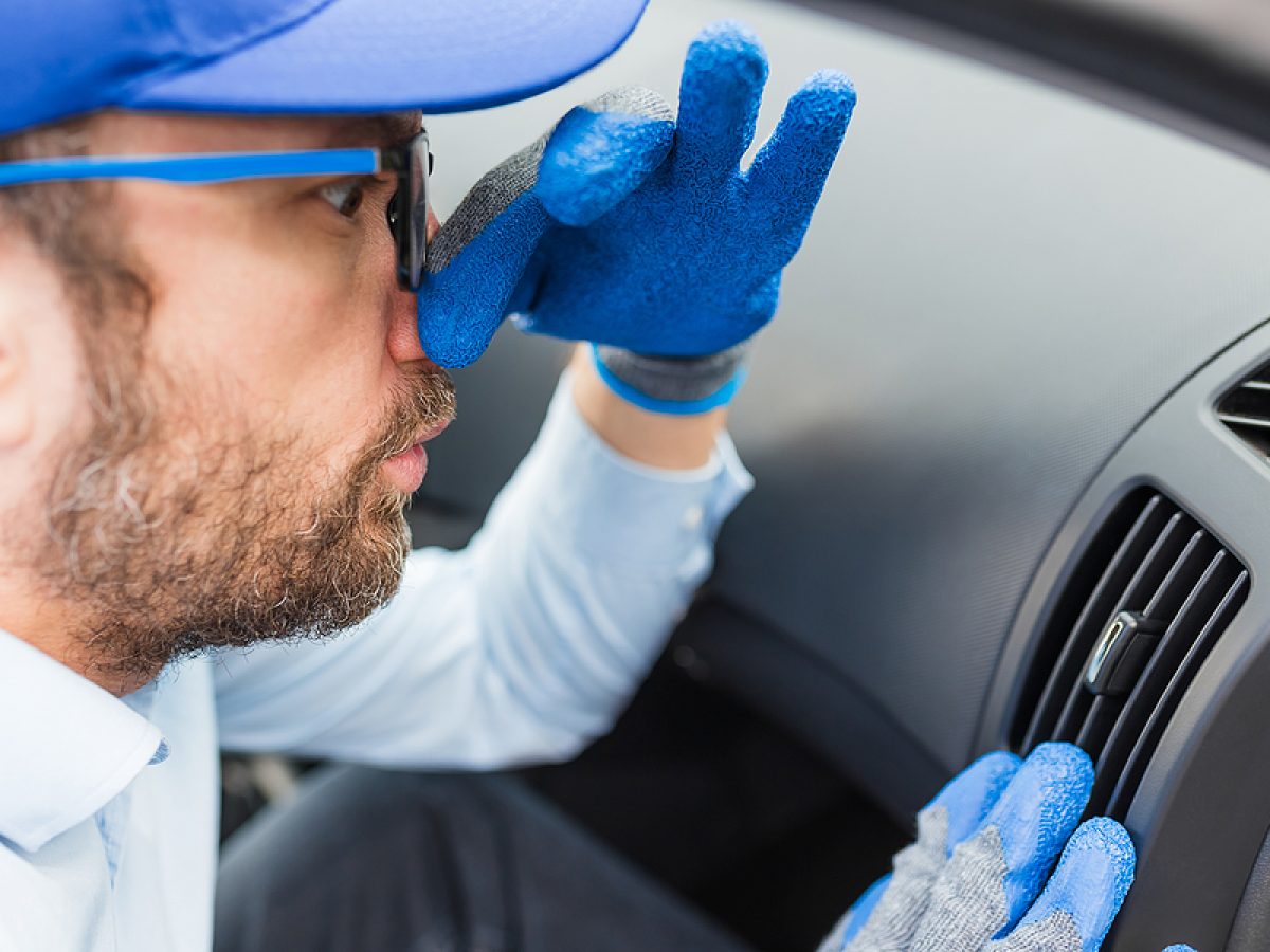What Causes a Rotten Egg Smell in a Car?
