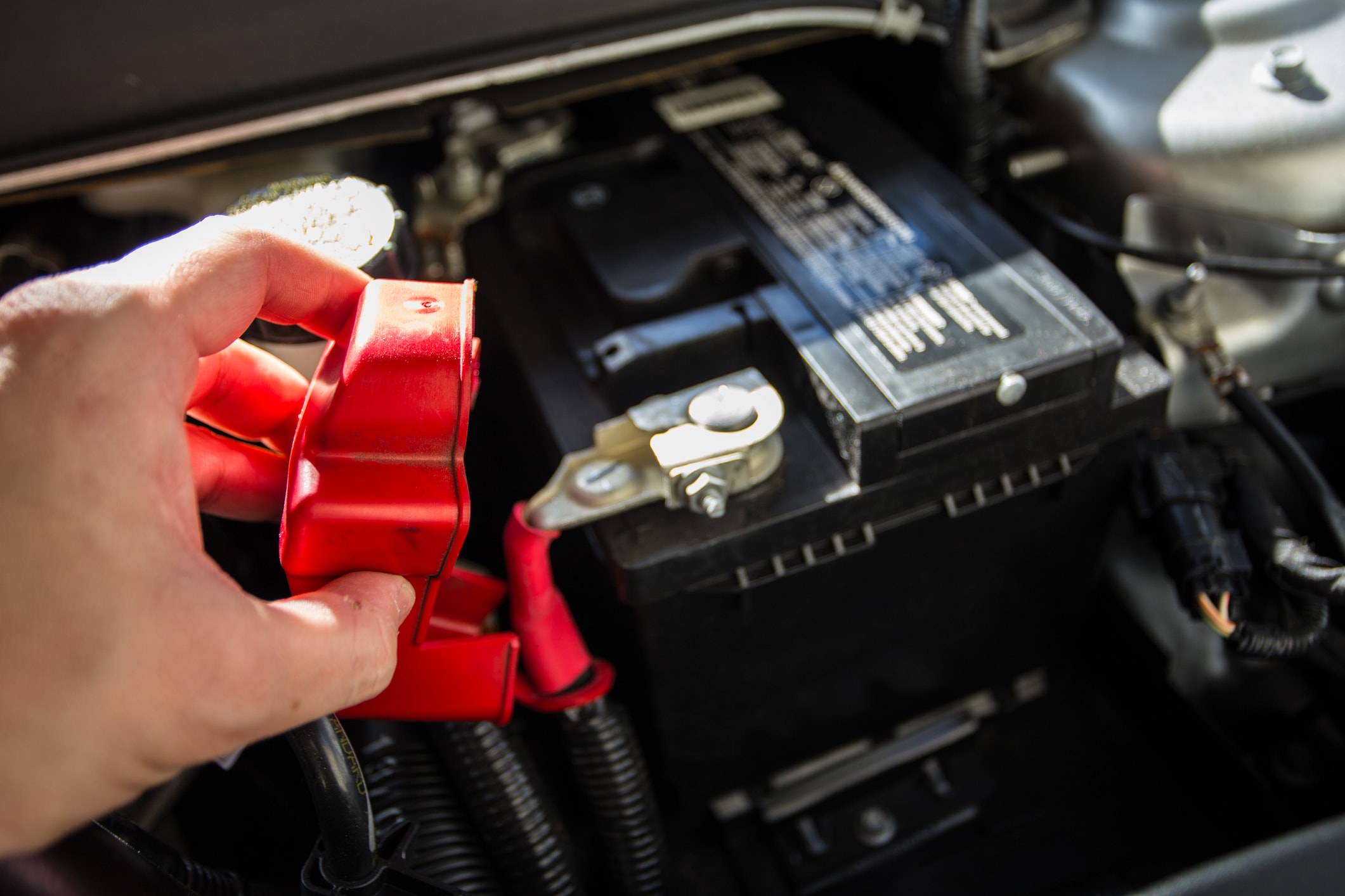 How Much Does It Cost to Replace Car Battery Terminals