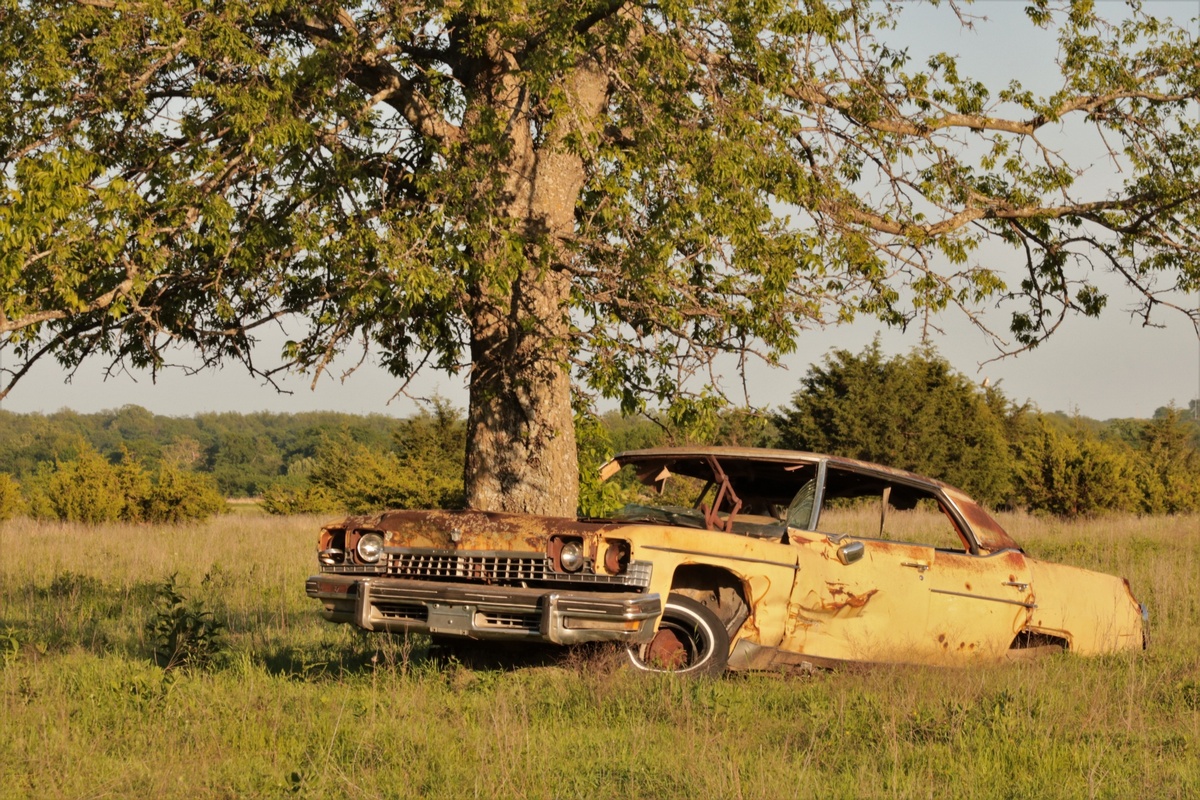 Can I Take Ownership Of An Abandoned Vehicle On My Property Car Part